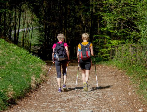 Wandern